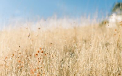 When Praise Goes Up, God’s Presence Comes Down (October 2025)