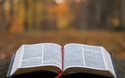 The Seed of His Word (August 2025)